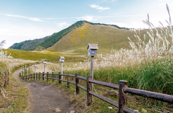 Vandresti i Soni Highlands nær Nara - Japan