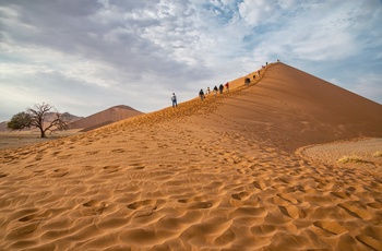 Vandring i sandklitterne i Sossusvlei i Namib-Naukluft National Park, Namibia