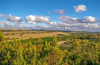 Landbrugsland og vinmarker Clare Valley - South Australia