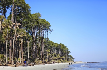 Skov og strand på Hunting Island State Park, South Carolina
