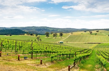 Barossa Valley i South Australia