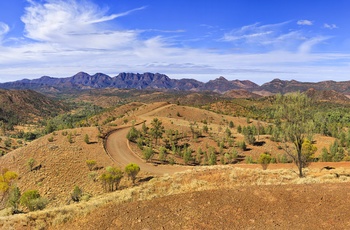 Vej mod Flinders Ranges og Wilpena Pound, South Australia