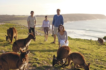 Kangaroo Island, South Australia