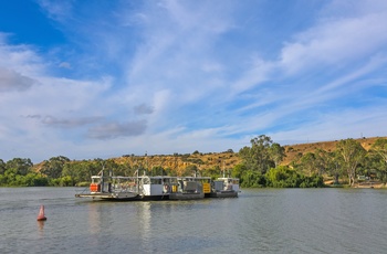 Lille færge der krydser Murray floden i South Australia