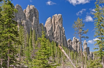 Black Hills i Custer State Park i South Dakota, USA