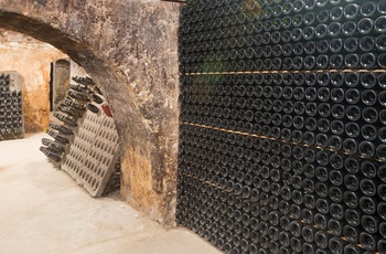 Gammel vinkælder med Cava flasker - Catalonien, Spanien