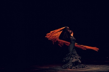 Flamenco dans