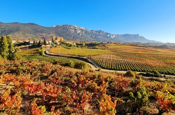 Spanien, La Rioja - efterår i Rioja Alavesa ved Samaniego