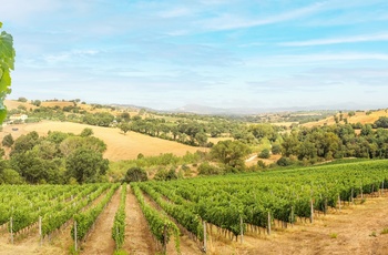Spanien, La Rioja - vinmarker
