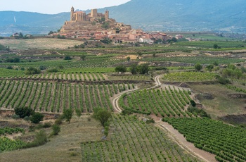 Spanien, La Rojoja - byen San Vicente de la Sonsierra village omgivet af vinmarker