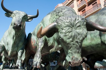 Spanien, Navarra, Pamplona - statue til minde om byens tyreløb