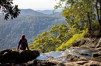 Hiker nyder udsigten i Springbrook National Park – Queensland i Australien