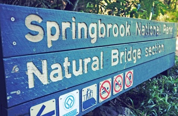 Springbrook National Park – Queensland i Australien