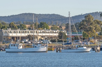 Fiskerbåde i St. Helens havn på Tasmanien