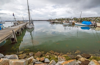 Havn i St. Helens på Tasmanien