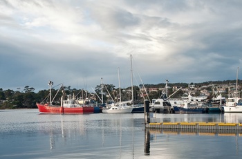 St. Helens på Tasmanien