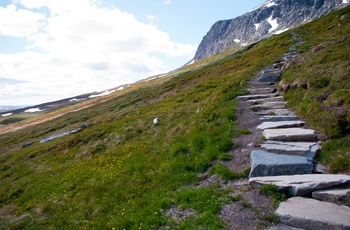 Stentrapper på Prestholtstien ved Geilo