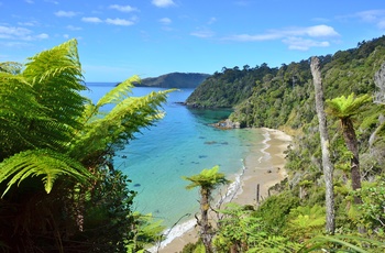 Kyststrækning på Stewart Island - New Zealand