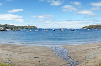 Byen Oban på Stewart Island - New Zealand