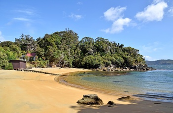 Lille strand på Ulva Island - Stewart Island, New Zealand