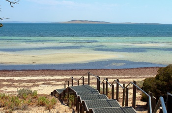 Strand i Lincoln National Park - South Australia