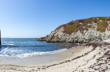 Strand og klipper ved Bodega Head Trail