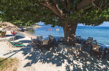 Strand på øen Thassos - Grækenland