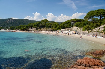 Stranden Palombaggia på Korsika, Frankrig