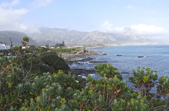 Hermanus i Sydafrika