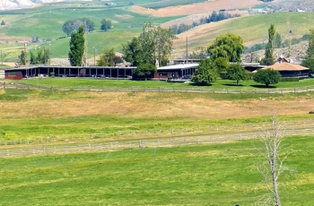Sundance Guest Ranch, Gruppe til hest