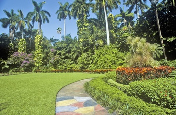 Stierne snor sig gennem Sunken Gardens, St. Petersburg i Florida