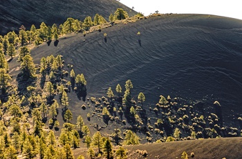 Sunset Crater Volcano National Monument - Arizona