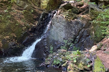 Lille vandfald i Forsakar Naturreservat, Sverige