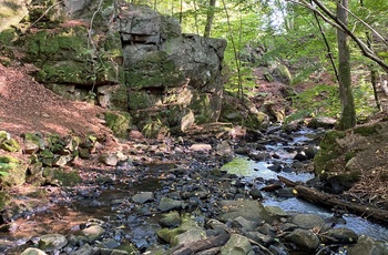 Naturen i Forsakar Naturreservat, Sverige