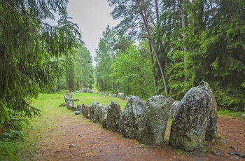 Stenskib/grav, Gnisvard på Gotland, Sydsverige