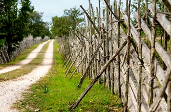 Grusvej og hegn på Gotland, Sydsverige