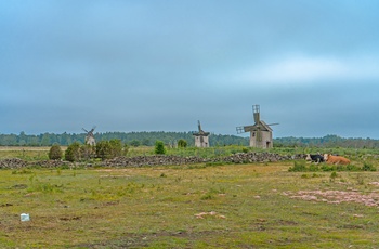 Gammel møller på Gotland i Sydsverige