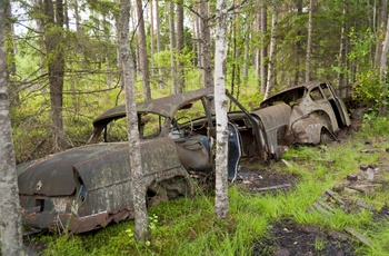 Bilkirkegård tæt på Ryd, Sverige