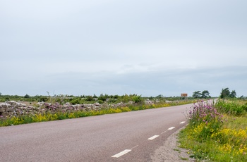 Vej gennem Stora Alvaret på Øland, Sverige