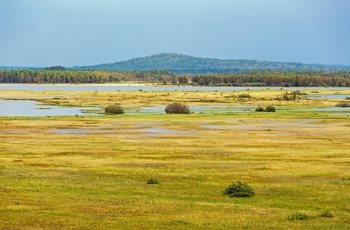 Flotte farver i Store Mosse Nationalpark, Sydsverige