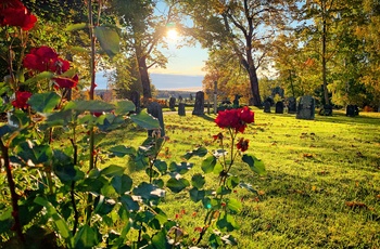 Gammel gravgård i Sundsvall, Sverige