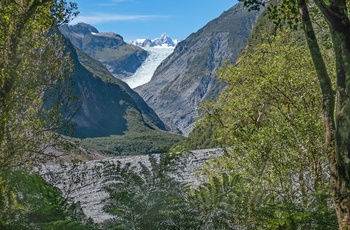 Udsigt til Fox Glacier på South Side Walkway - Sydøen i New Zealand