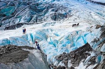 Guidet vandretur på Franz Josef Glacier - gletsjer på sydøen i New Zealand
