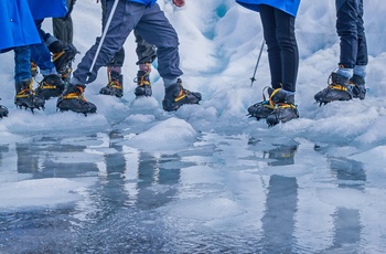 Guidet vandretur på Fox og Franz Josef Glacier - gletsjer på sydøen i New Zealand