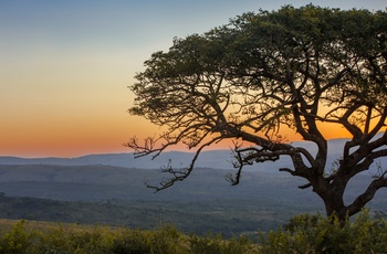 Solnedgang i Hluhluwe Imfolozi Park, KwaZulu Natal i Sydafrika