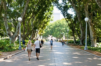 Hyde Park i Sydneys centrum - Australien