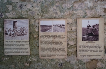 MC Sydstaterne - slavernes vilkår på Boone Hall Plantation