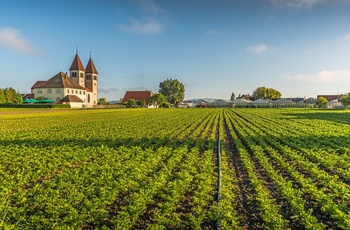 Saint Peter og Paul kirken på klosterøen Reichenau - Sydtyskland