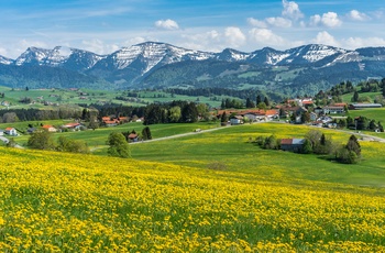 Naturen i- ved Oberstaufen i Sydtyskland