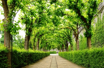 Slotsparken omkring Würzburger Residenz i Sydtyskland